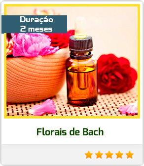 Florais de Bach (2 meses)